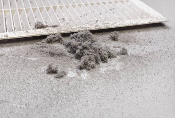 Best Air Duct Cleaning Near Me  in Shenandoah, PA