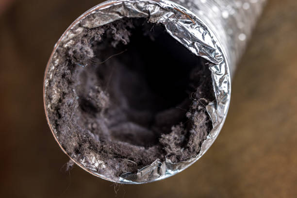 Best Best Air Duct Cleaning Company  in Shenandoah, PA