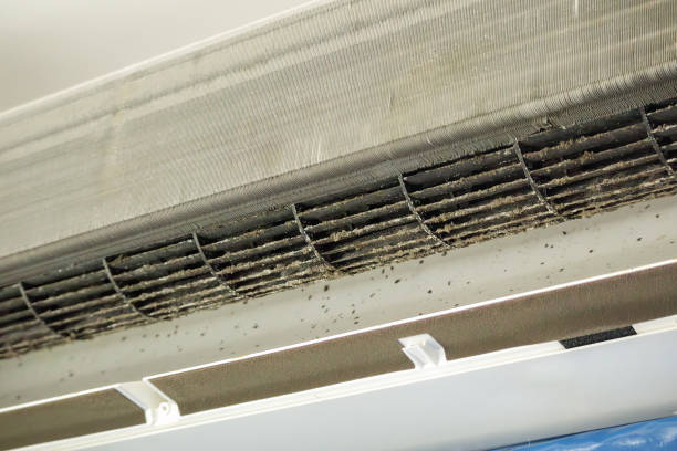 Best Residential Air Duct Cleaning  in Shenandoah, PA
