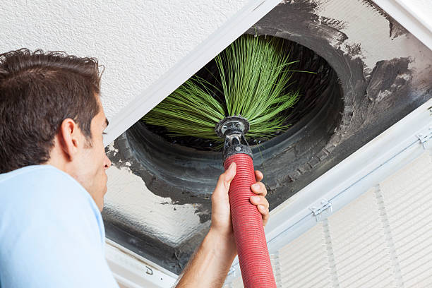 Best HVAC System Cleaning  in Shenandoah, PA