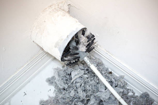 Best Emergency Air Duct Cleaning  in Shenandoah, PA